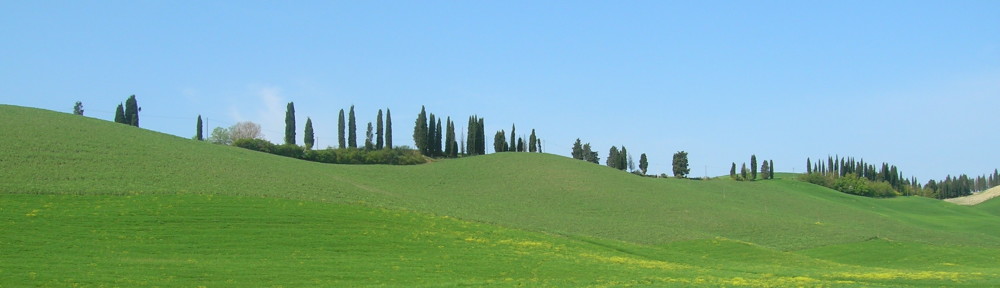 Terre di Siena Ultramarathon 2024  Iscrizioni aperte